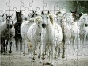Giochi di Pasol - Cavallo Bianco